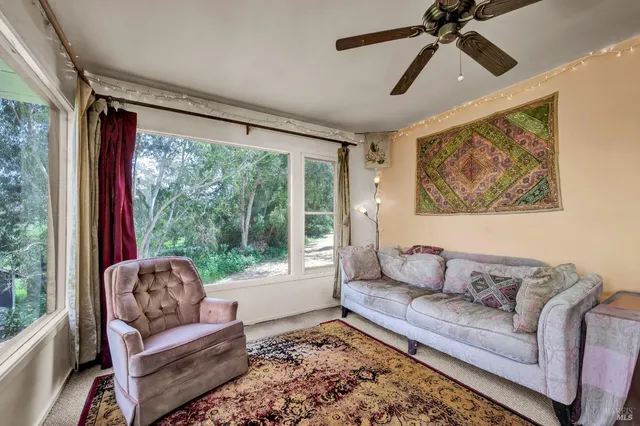 a potted plant sitting in front of a house