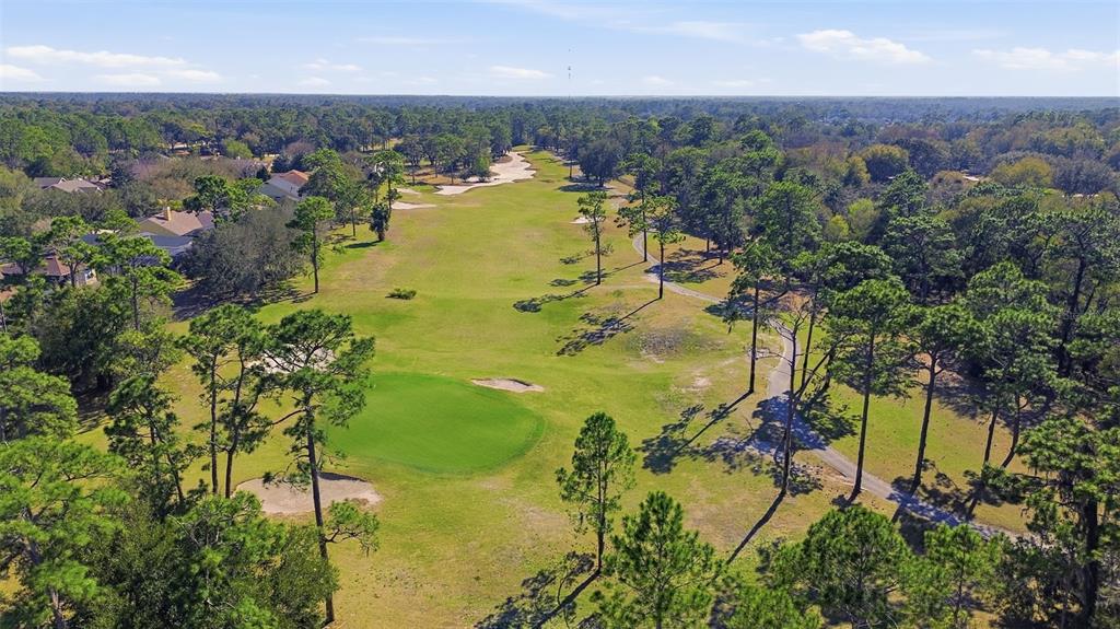 110 Curry Rise Court DeLand, FL 32724 - Photo 4 of 34