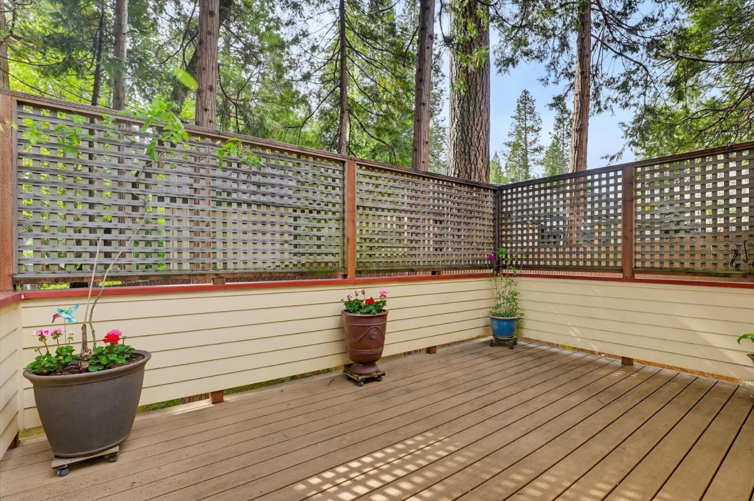 334 Bridge Way Nevada City, CA 95959 - Photo 26 of 32