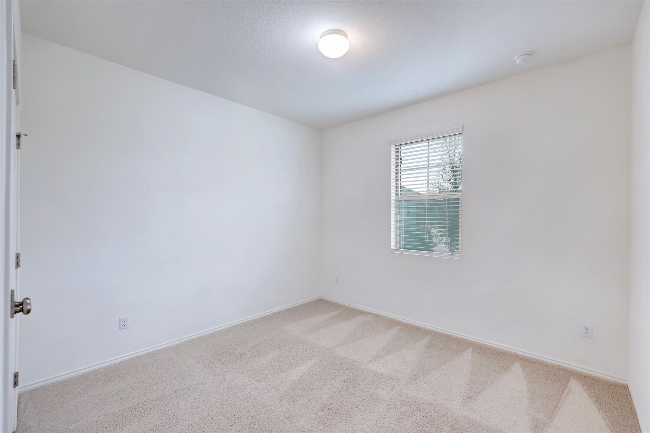 307 Simmental Loop Hutto, TX 78634 - Photo 21 of 34 A well-lit bedroom features plush carpeting and a window with natural illumination.