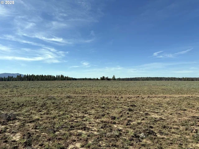 a view of a lake from a yard