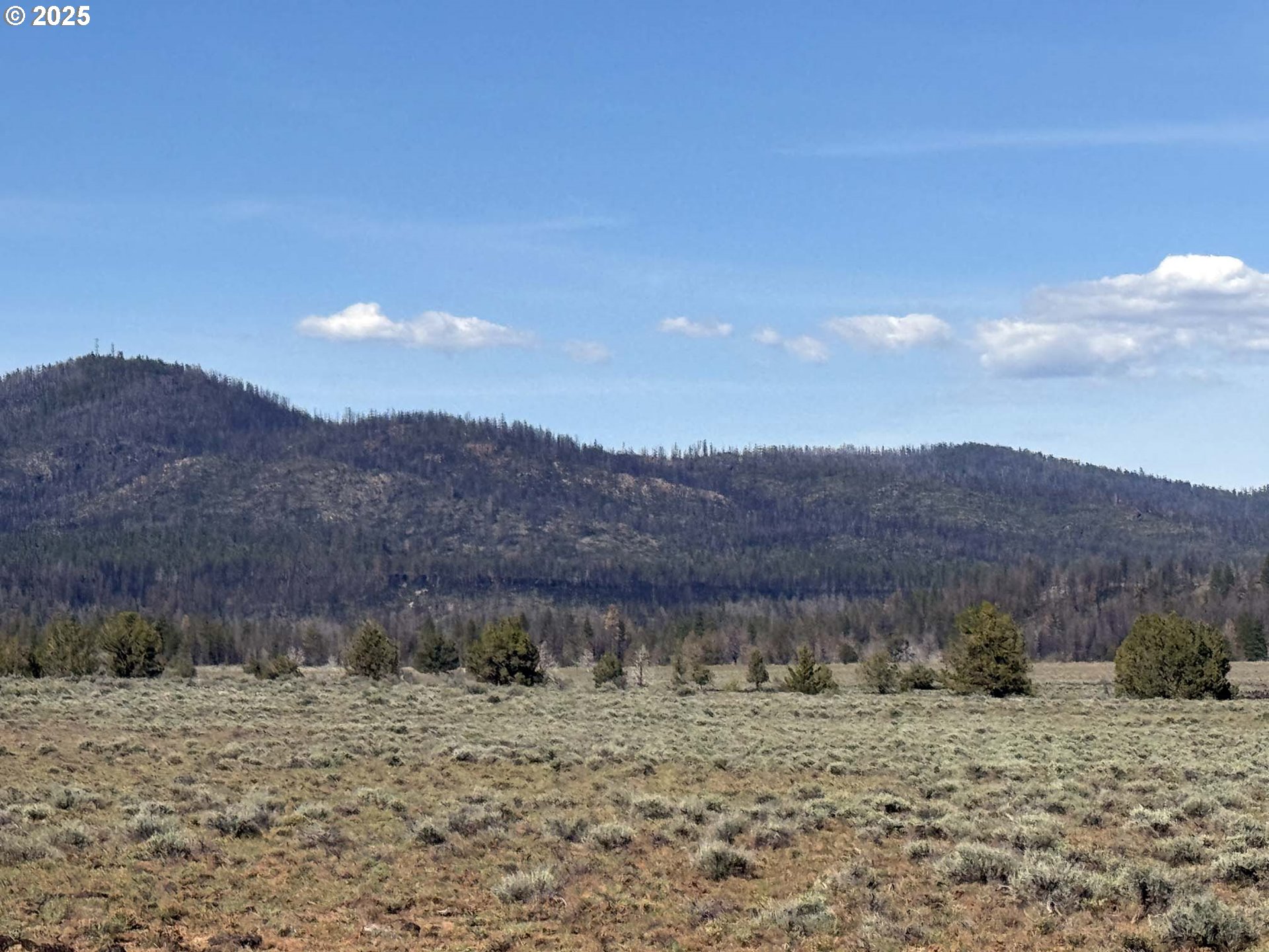 Oregon Pines Road, Unit TL 2000 Beatty, OR 97621 - Photo 16 of 23 a view of a dry yard with mountain view