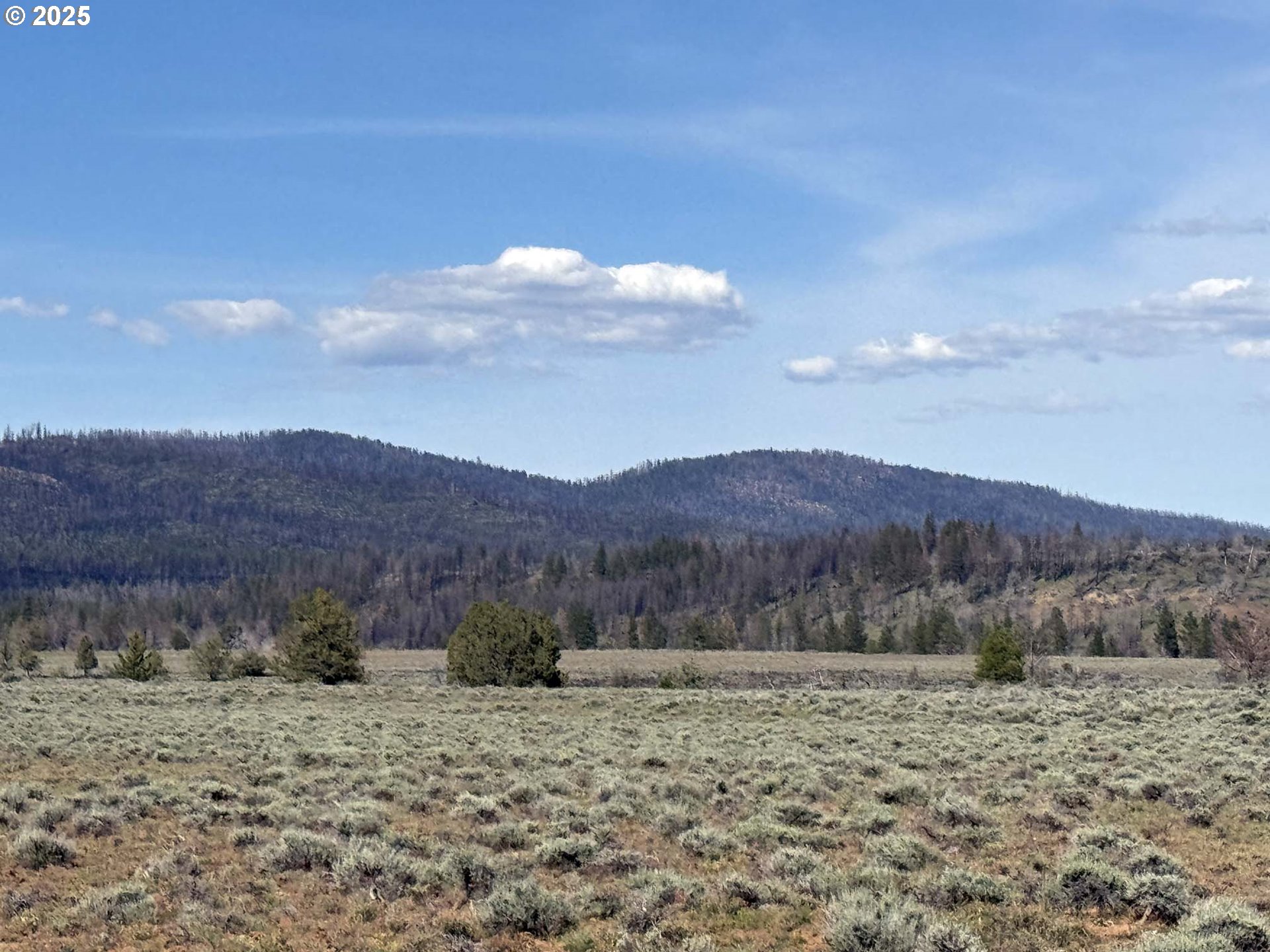 Oregon Pines Road, Unit TL 2000 Beatty, OR 97621 - Photo 17 of 23 a view of a dry yard with wooden fence