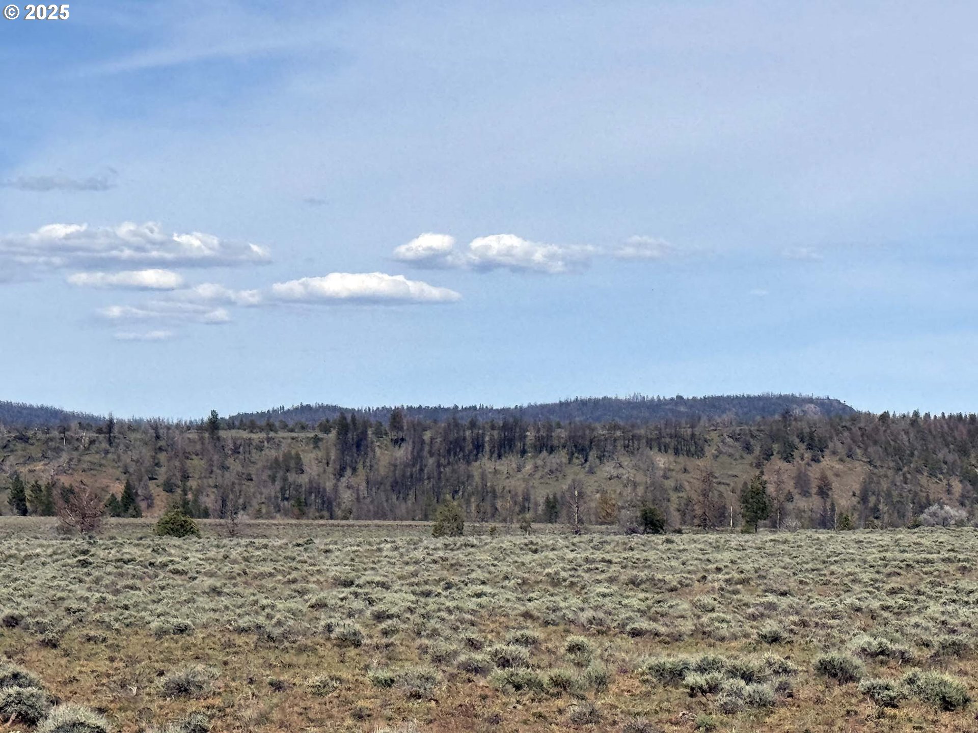 Oregon Pines Road, Unit TL 2000 Beatty, OR 97621 - Photo 18 of 23 a view of a dry yard