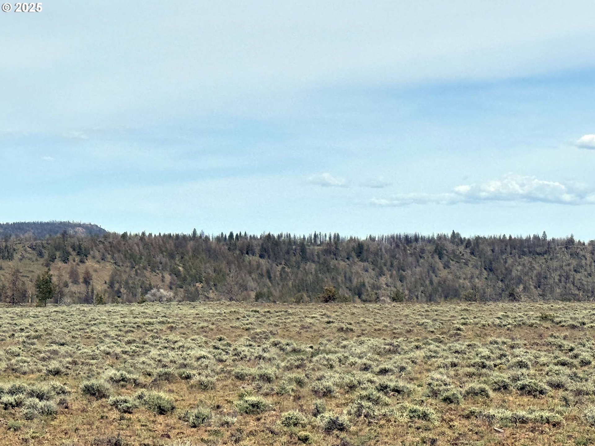 Oregon Pines Road, Unit TL 2000 Beatty, OR 97621 - Photo 19 of 23 a view of a dry yard with trees