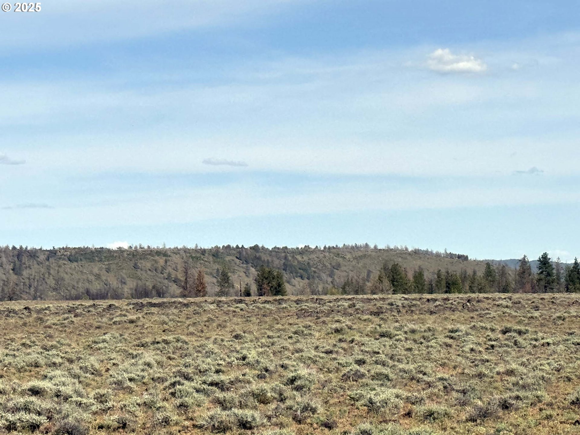 Oregon Pines Road, Unit TL 2000 Beatty, OR 97621 - Photo 20 of 23 a view of mountain view