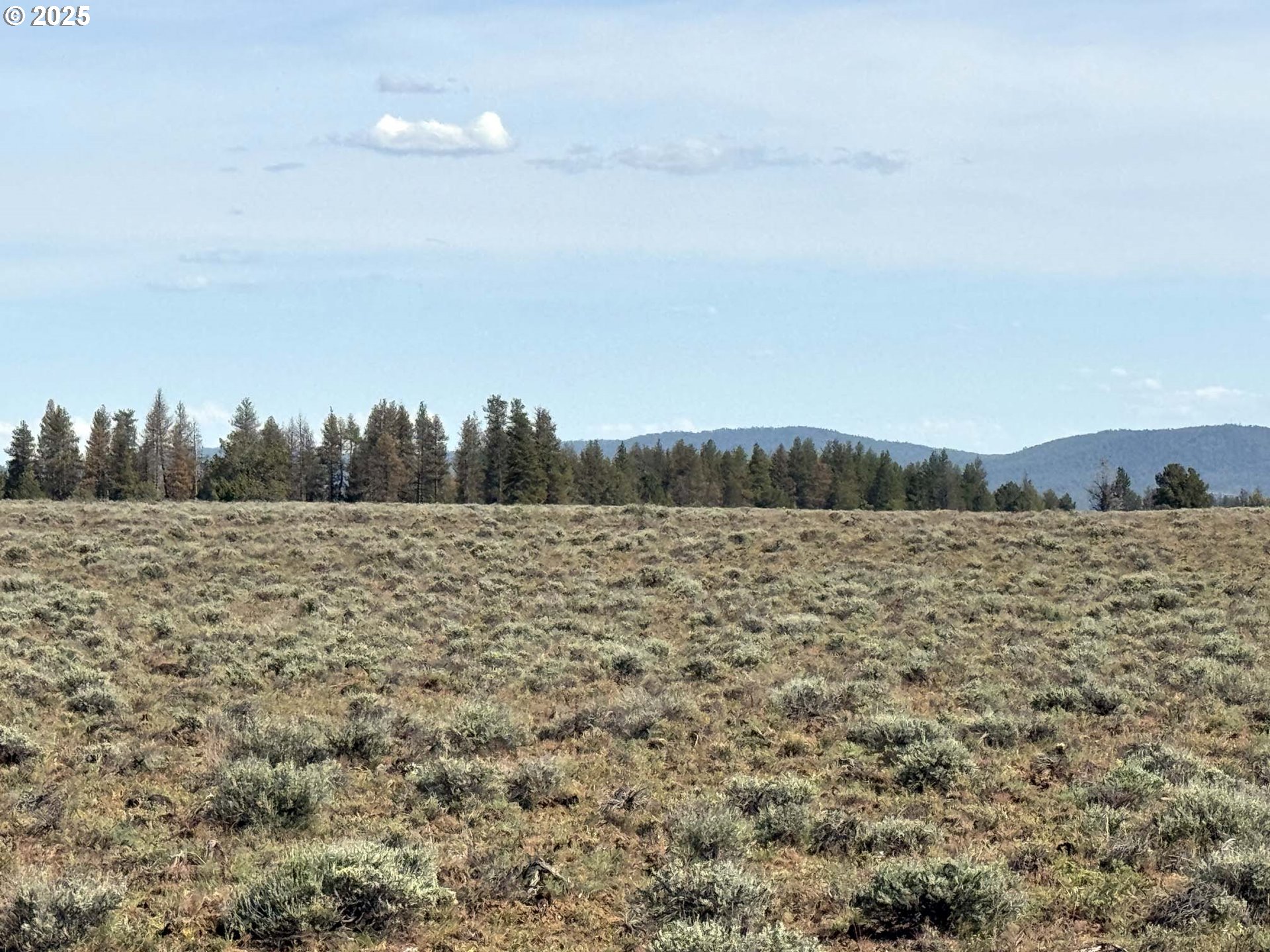 Oregon Pines Road, Unit TL 2000 Beatty, OR 97621 - Photo 21 of 23 a view of a lake view