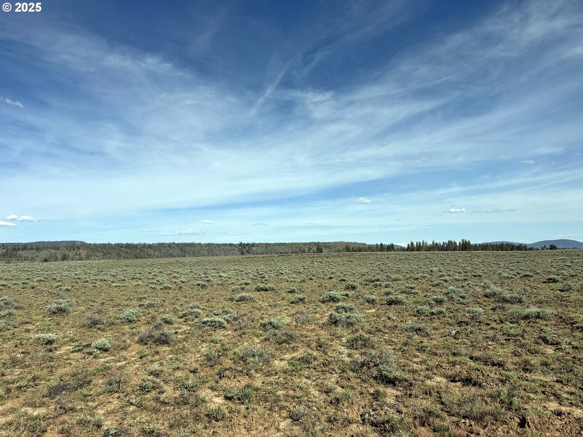 Oregon Pines Road, Unit TL 2000 Beatty, OR 97621 - Photo 6 of 23 a view of an ocean
