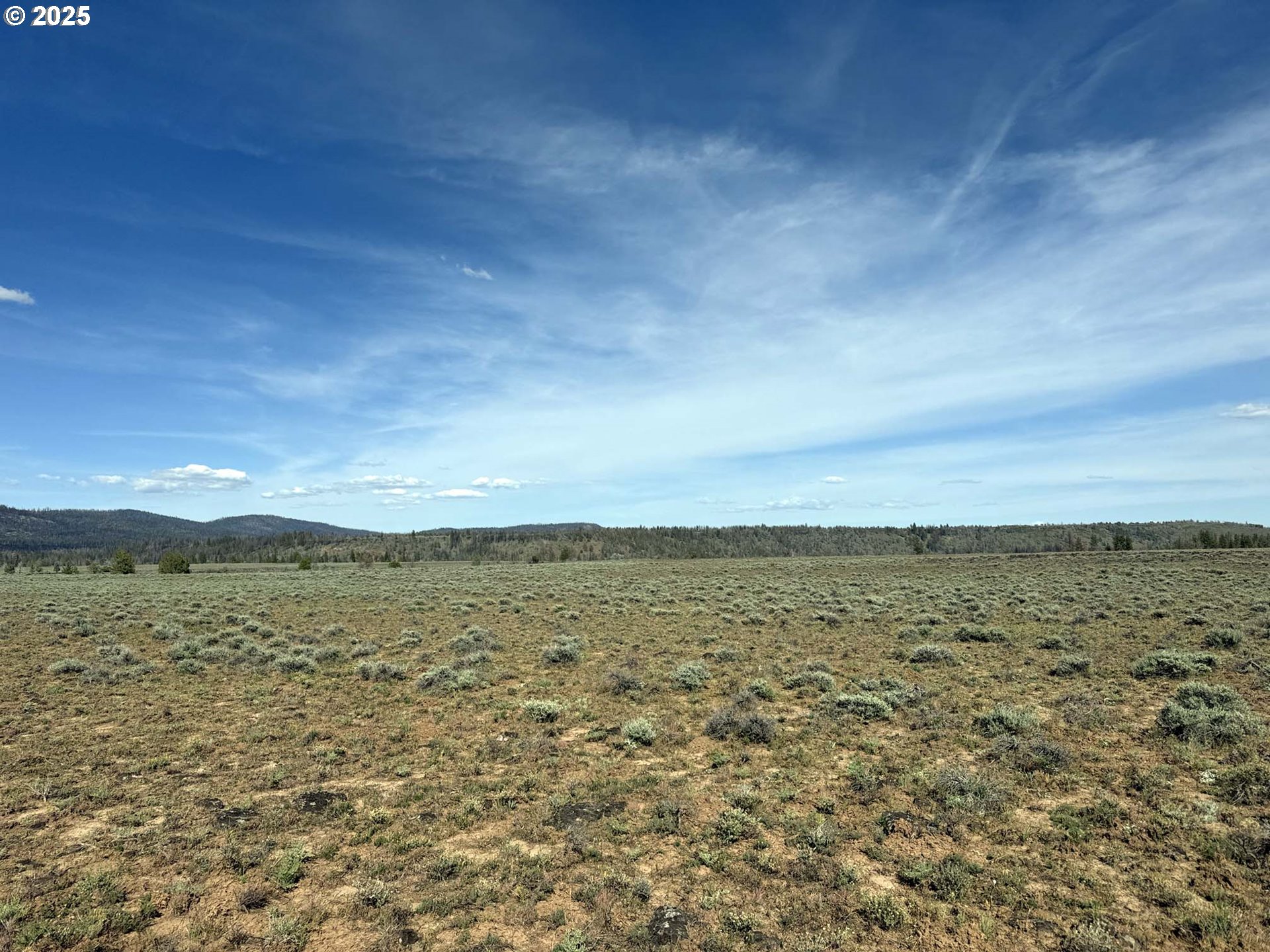 Oregon Pines Road, Unit TL 2000 Beatty, OR 97621 - Photo 7 of 23 a view of an ocean