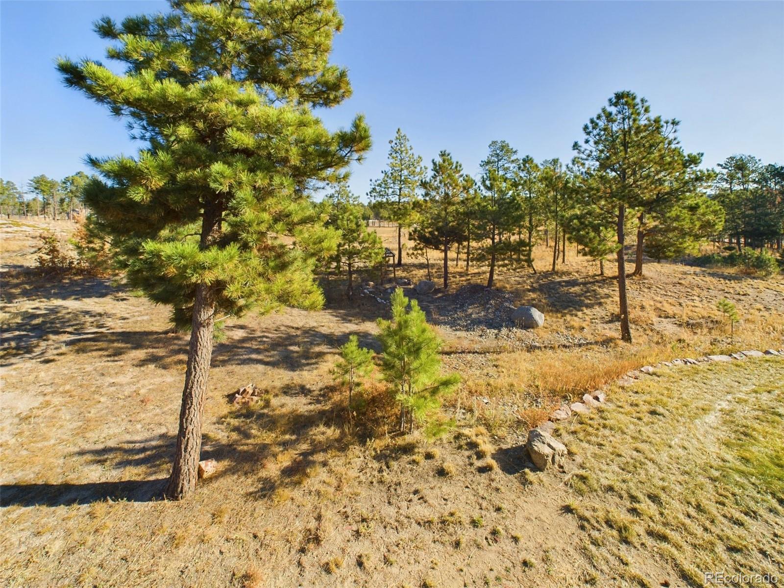 5140 Shoup Road Colorado Springs, CO 80908 - Photo 35 of 42 a view of a yard with trees