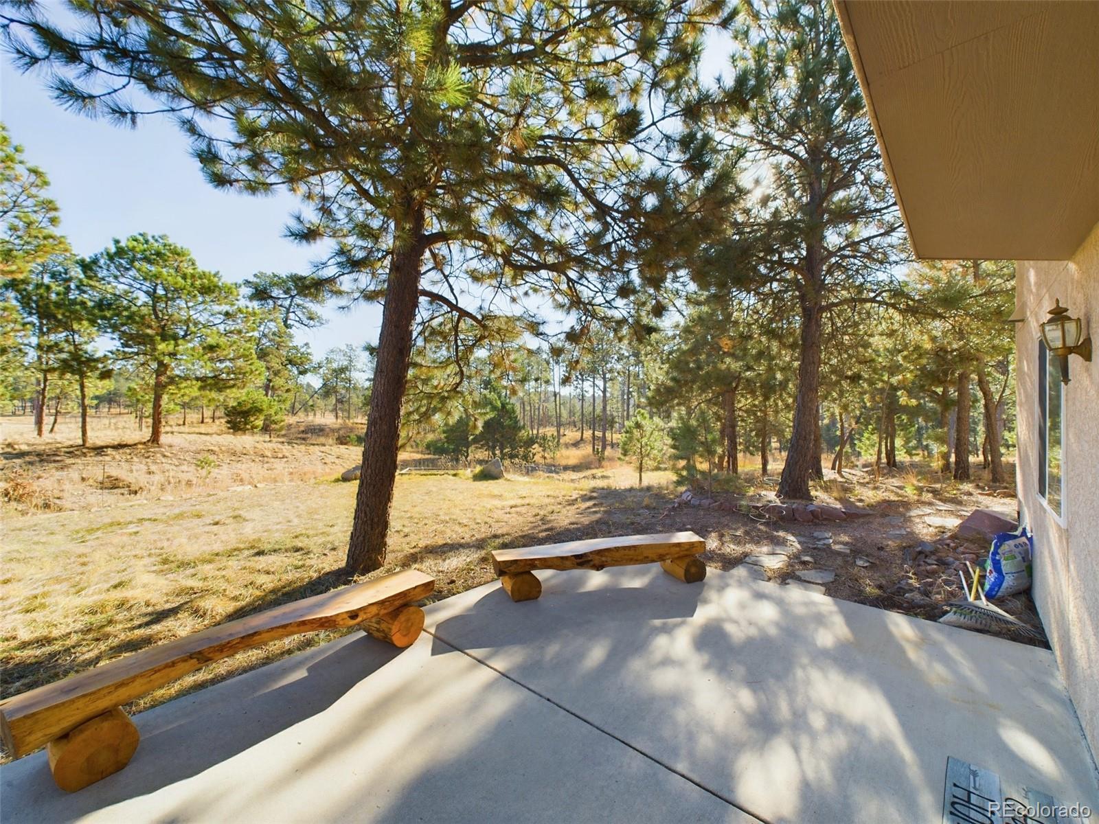 5140 Shoup Road Colorado Springs, CO 80908 - Photo 40 of 42 a view of a yard with an trees