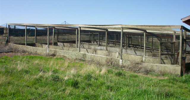 49989 Brown Road Sprague, WA 99032 - Photo 6 of 9