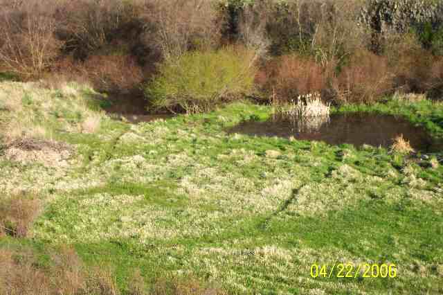49989 Brown Road Sprague, WA 99032 - Photo 7 of 9