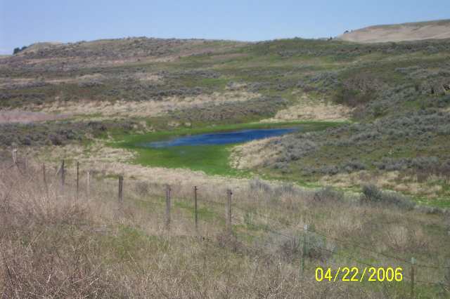 49989 Brown Road Sprague, WA 99032 - Photo 9 of 9