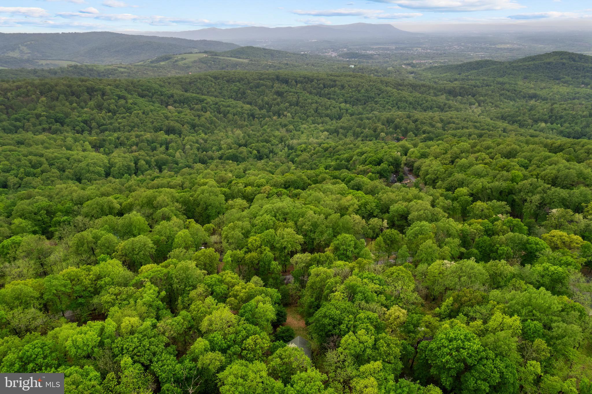 349 Club House Road Front Royal, VA 22630 - Photo 2 of 15 a view of a lush green forest with trees and houses