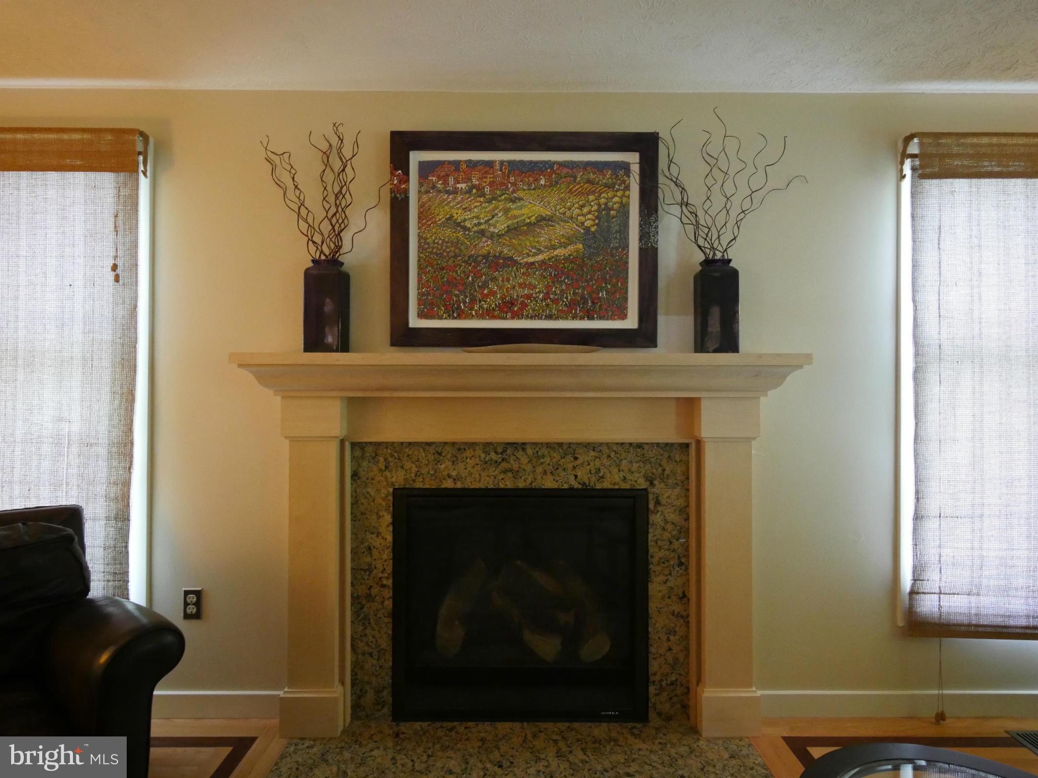 7360 Kindler Road Columbia, MD 21046 - Photo 10 of 30 Family Room w/ cozy gas fireplace