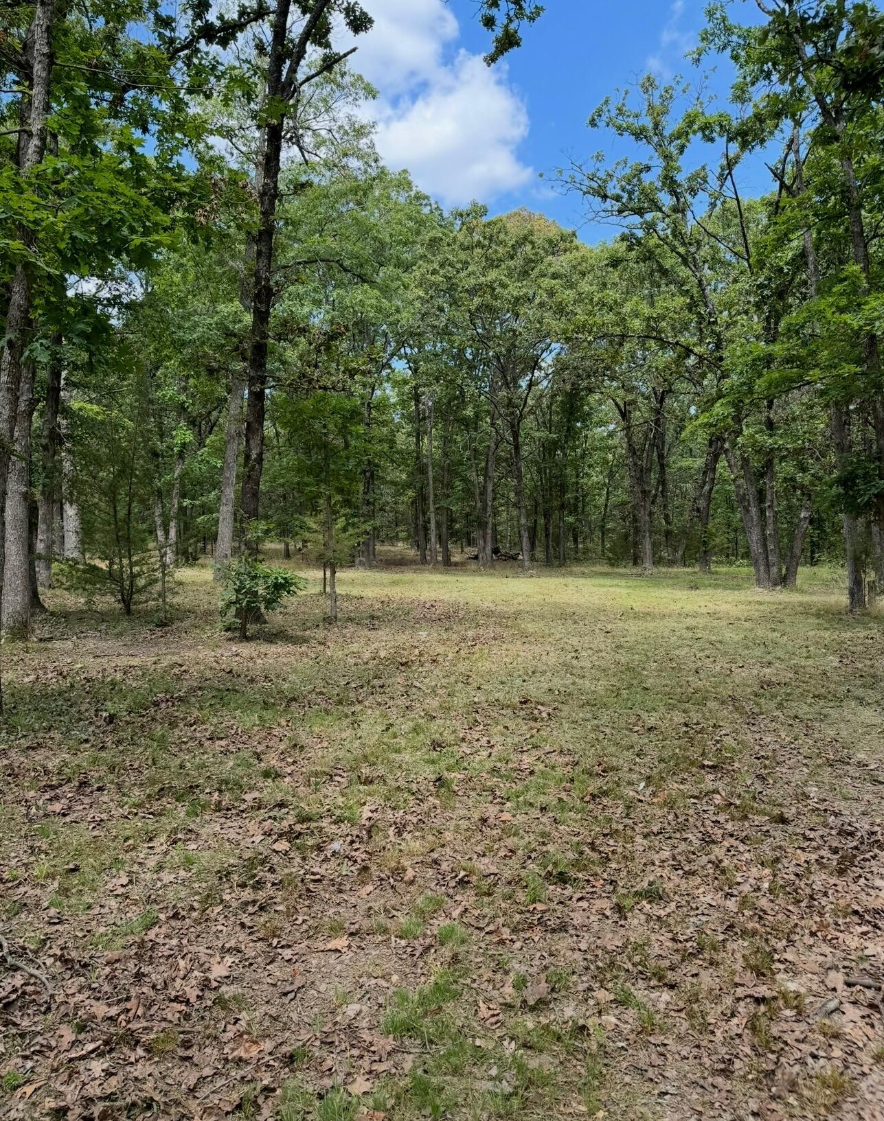Lot 2 The Ridges Joplin, MO 64804 - Photo 3 of 5 image3
