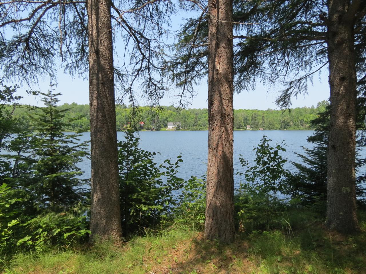 5636 Chaney Lake Road Wakefield, MI 49968 - Photo 10 of 66 Gallery Image 10