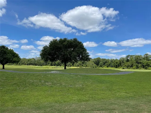 a view of field with an ocean