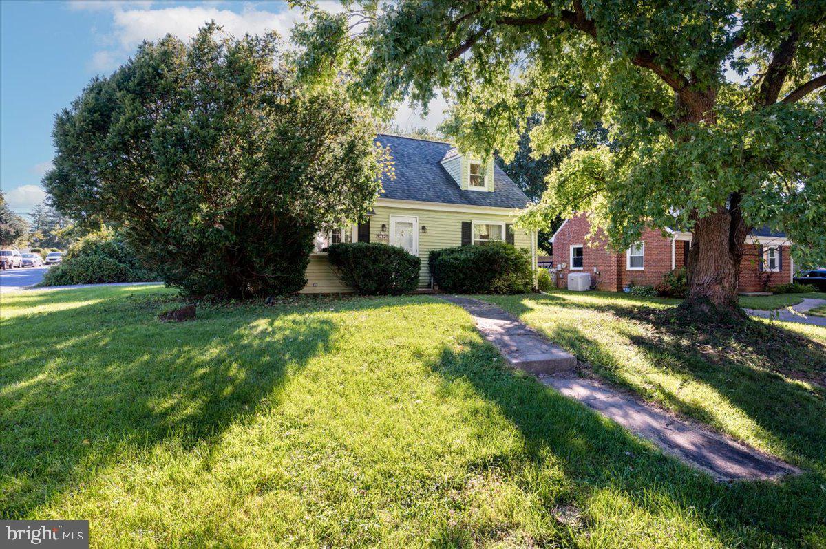 Wonderful corner lot