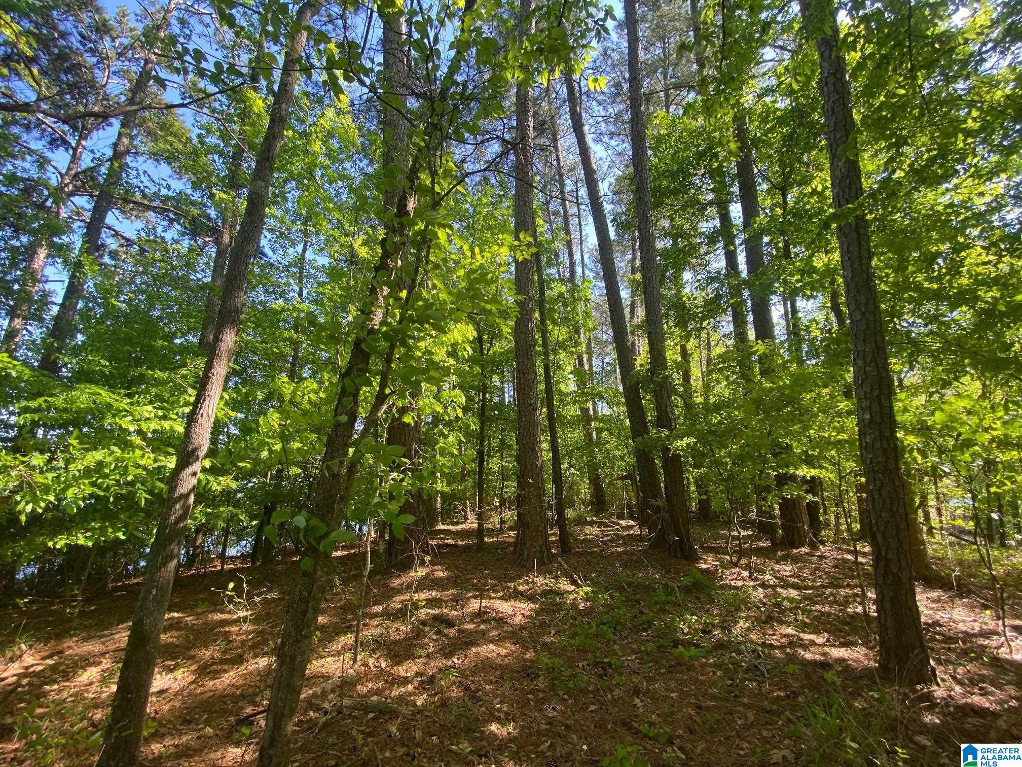 Waldrop Road, Unit 24 Ashville, AL 35953 - Photo 6 of 9