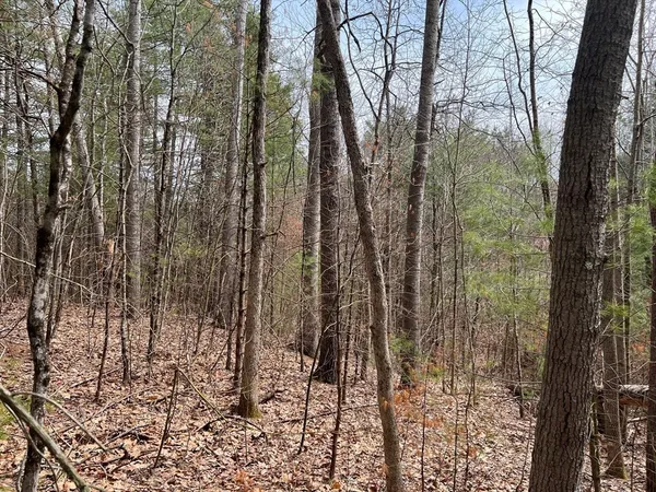 a view of outdoor space