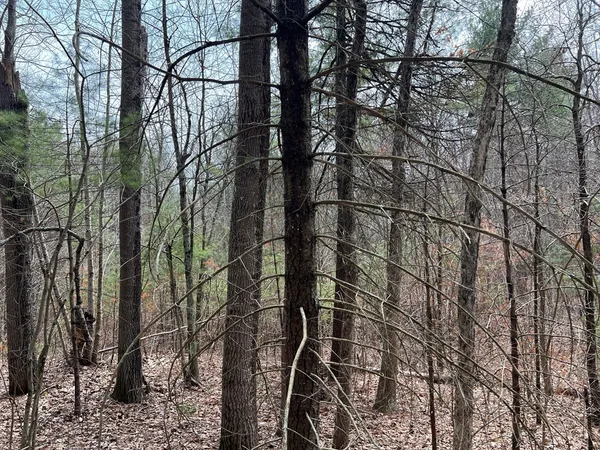 a backyard of a house