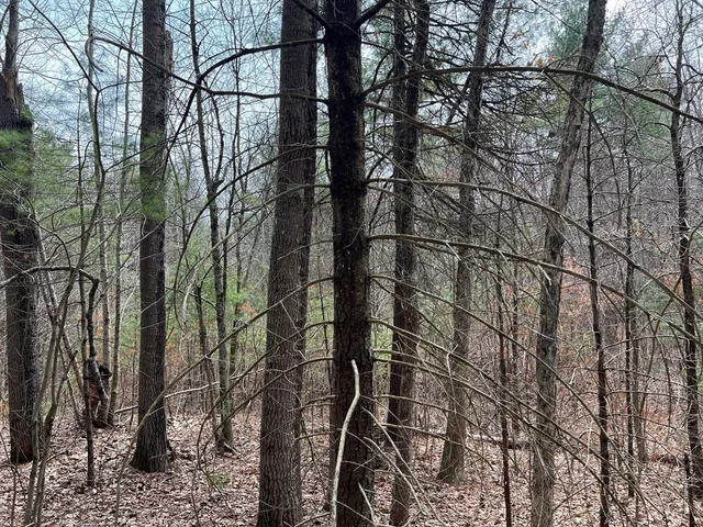 a backyard of a house