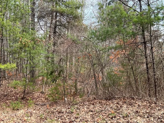 a view of outdoor space and a yard