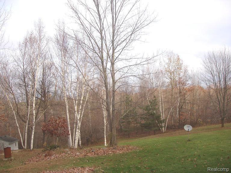 175 Gerst Road Leonard, MI 48367 - Photo 4 of 23 4 Yard 2