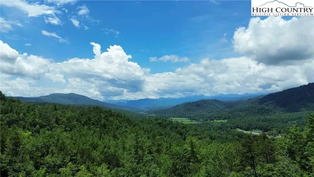 a view of a bunch of trees