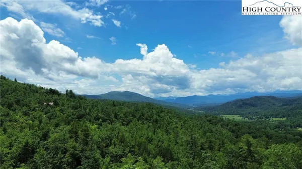 a view of a bunch of trees