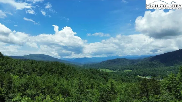 a view of a bunch of trees