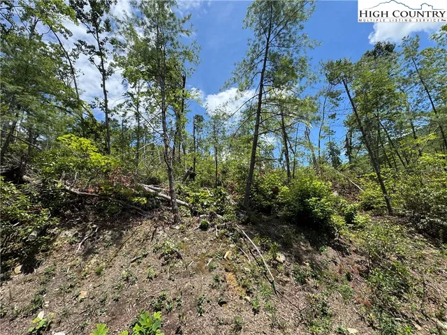 a view of backyard with green space
