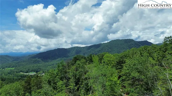 a view of a bunch of trees