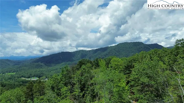 a view of a bunch of trees