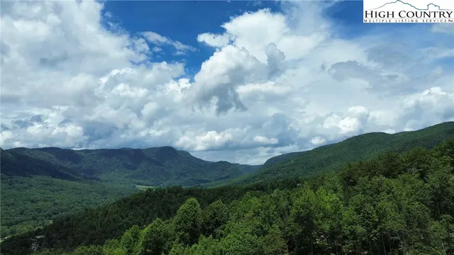 a view of houses covered with trees