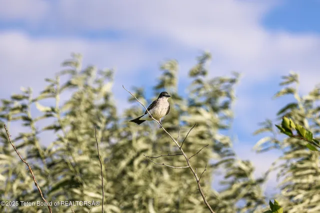 $5,280,000 | 3200 South 3200th, Rexburg, ID 83440