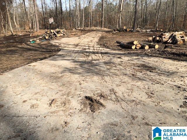 1919 Mt Gilead Road, Unit 9 21 Jacksonville, AL 36265 - Photo 35 of 39