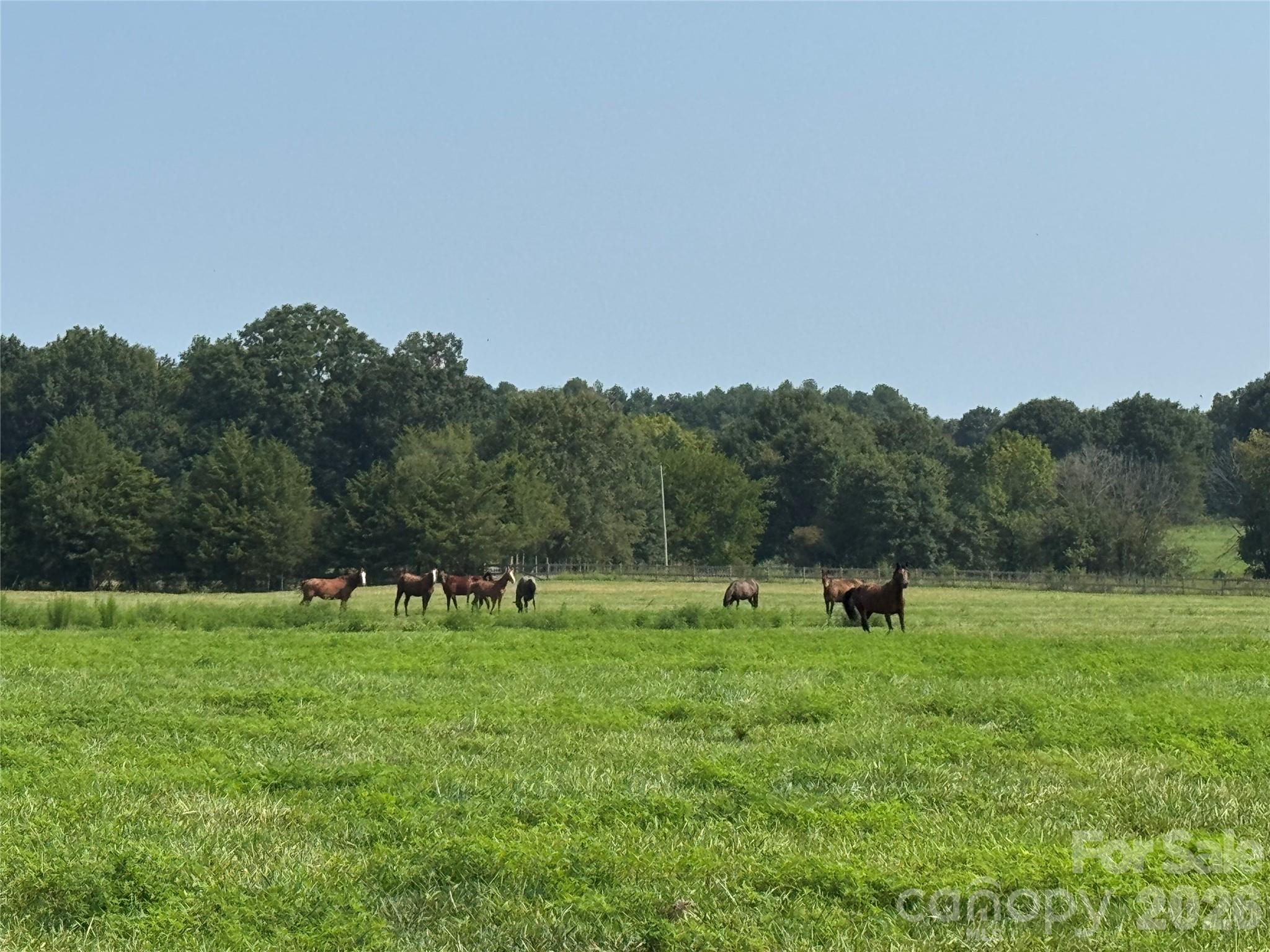 12917 Austin Road Locust, NC 28097 - Photo 24 of 25 Gallery Image 24