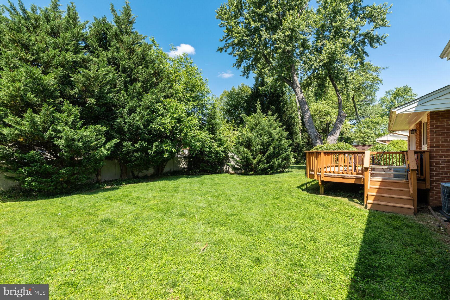 7011 Hector Road McLean, VA 22101 - Photo 17 of 20 a backyard of a house with lots of green space