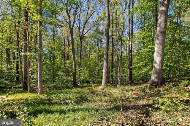 $1,499,999 | 7308 Blue Dan Lane, Clifton, VA 20124