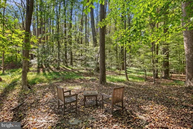 $1,499,999 | 7308 Blue Dan Lane, Clifton, VA 20124