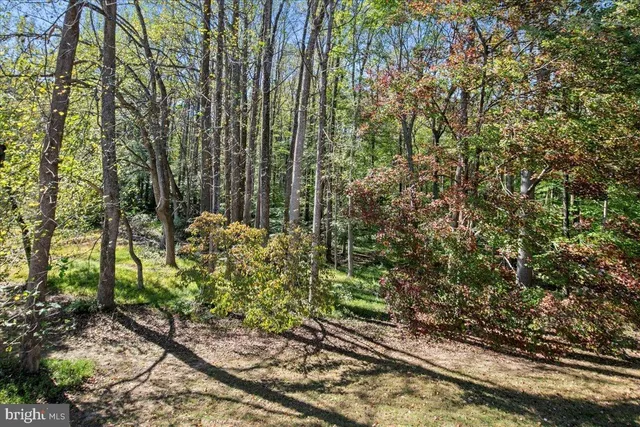 $1,499,999 | 7308 Blue Dan Lane, Clifton, VA 20124