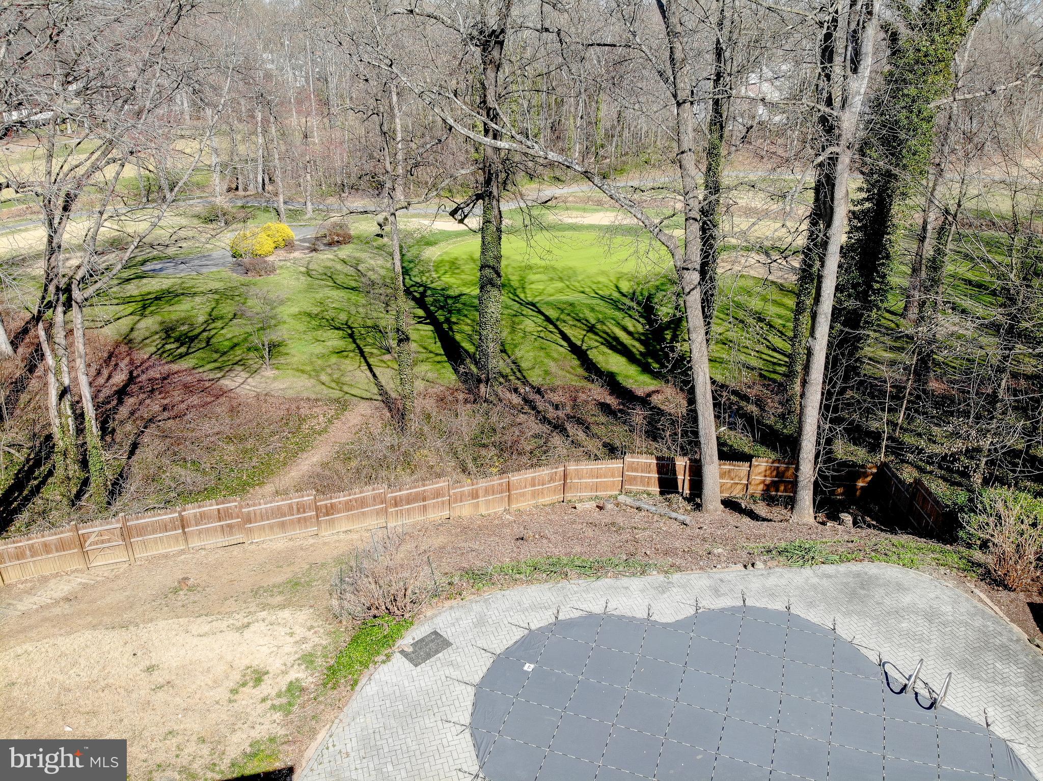 1702 Saxony Place Crofton, MD 21114 - Photo 45 of 65 a view of a backyard with plants and trees
