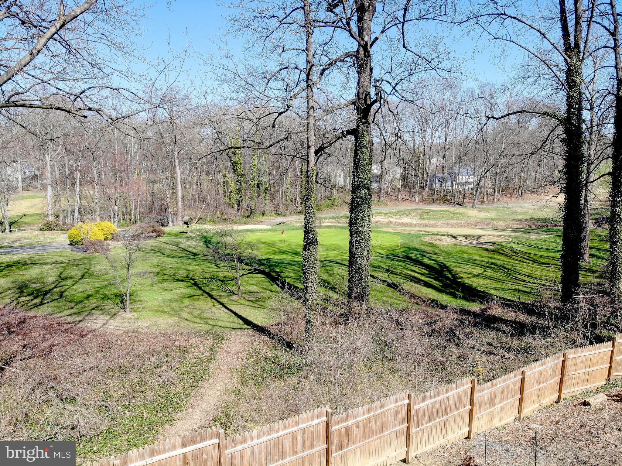 1702 Saxony Place Crofton, MD 21114 - Photo 51 of 65 a view of a yard with hanging tree