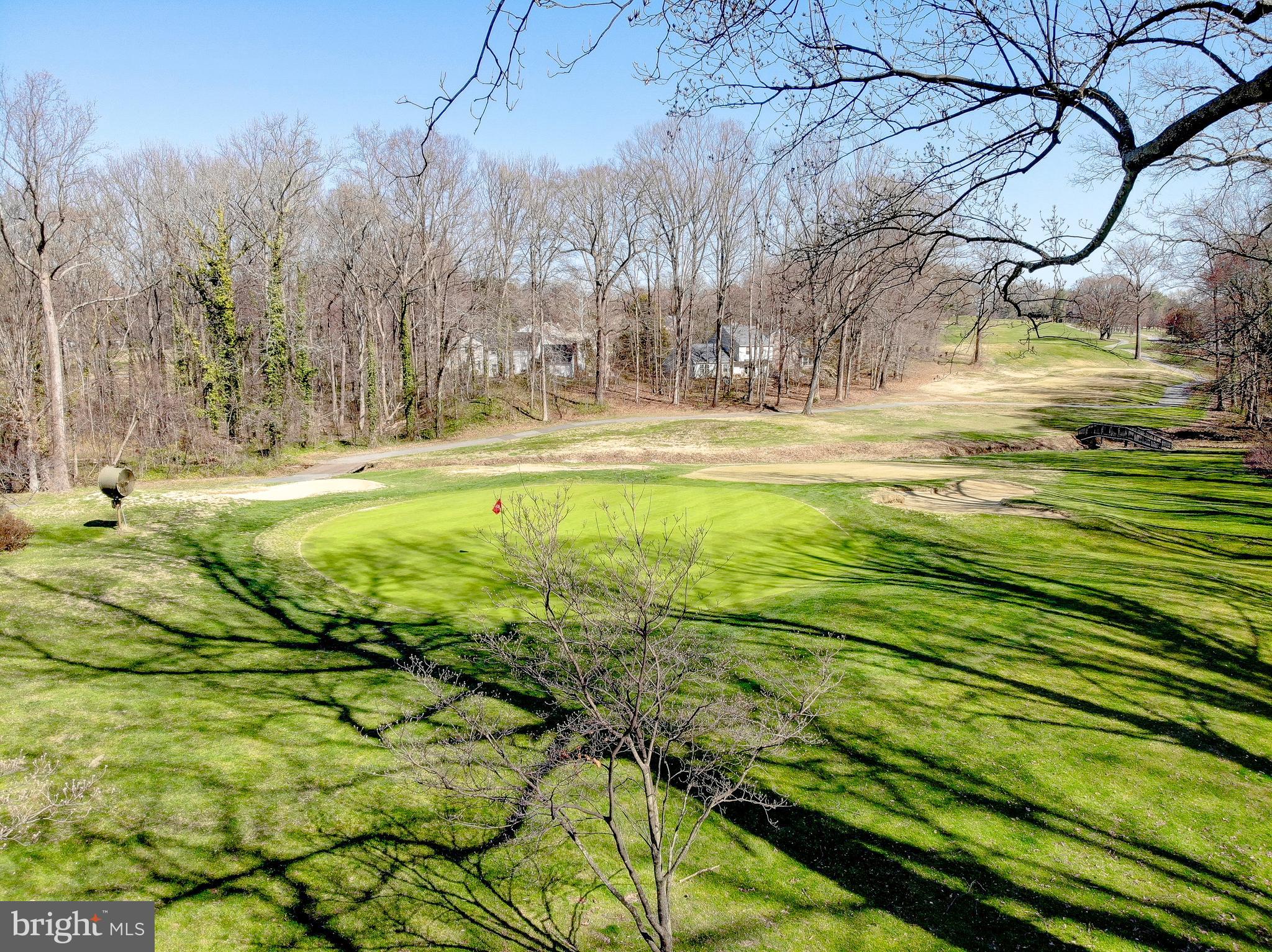 1702 Saxony Place Crofton, MD 21114 - Photo 53 of 65 a view of yard with swimming pool and trees