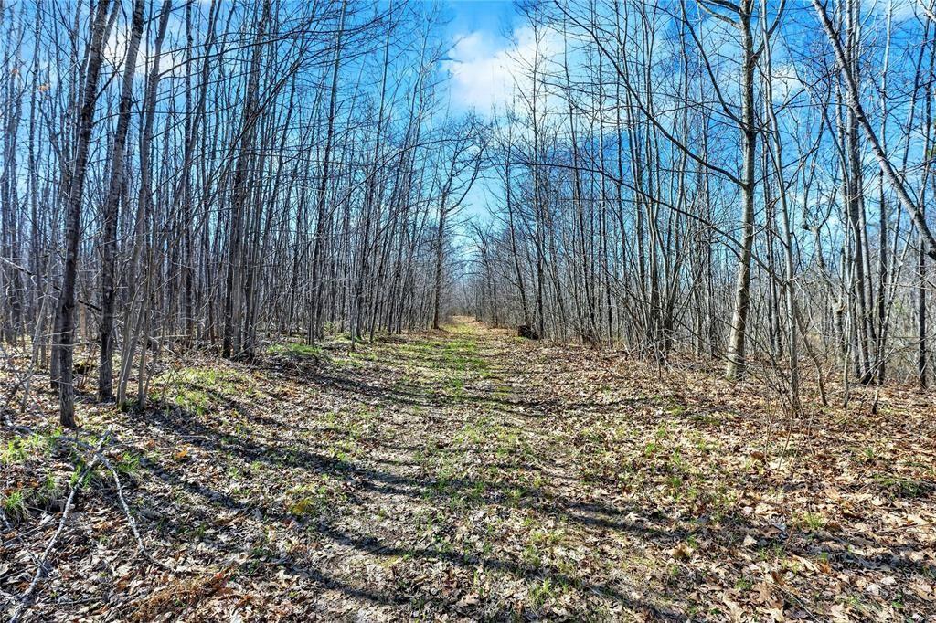 N12499 Brooklyn Road Minong, WI 54859 - Photo 16 of 30