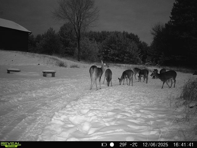 920 County Road West Wild Rose, WI 54984 - Photo 46 of 48