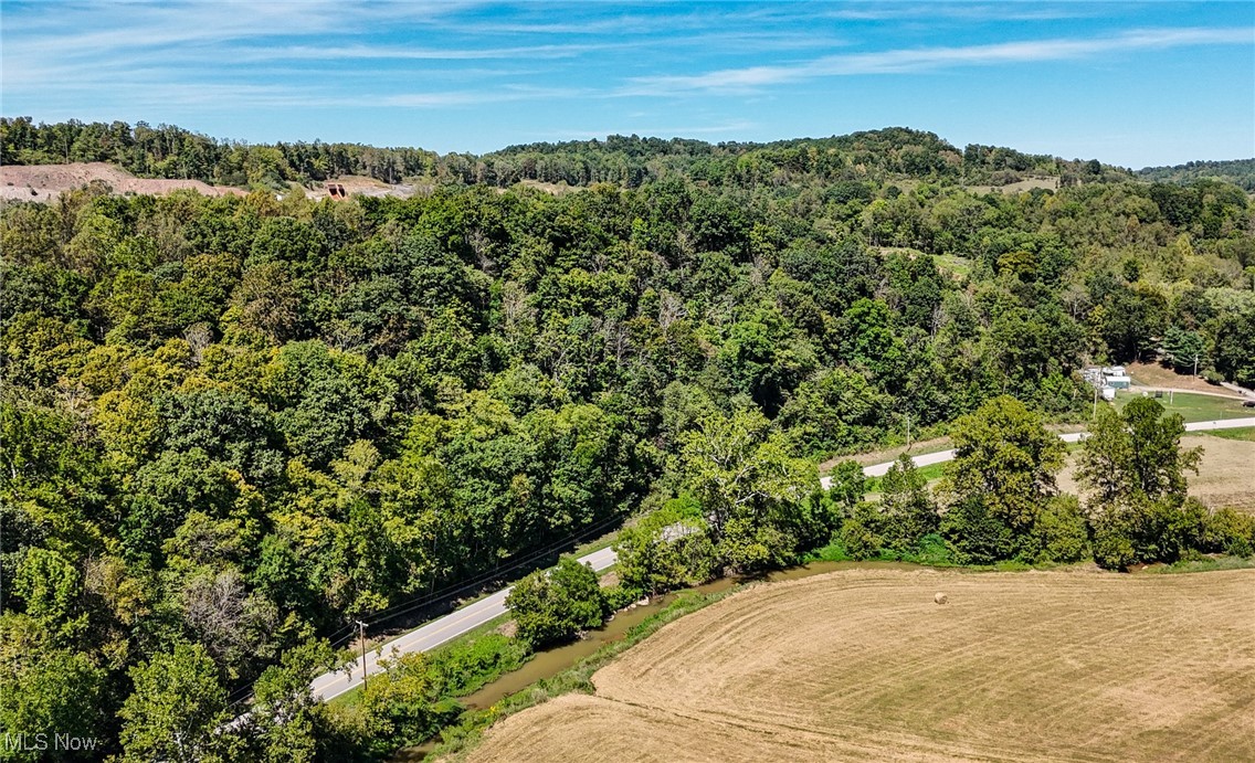 36880 Sheepskin Ridge Road Lower Salem, OH 45745 - Photo 27 of 29 Birds eye view of property